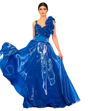 Addy van den Krommenacker  shiny organza top and skirt