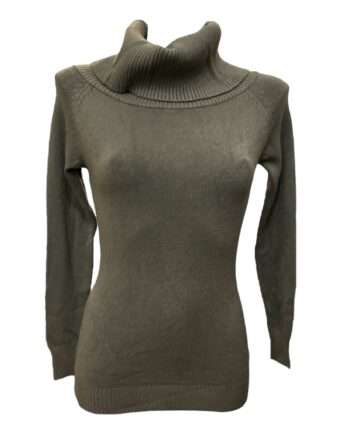 Turtle big collar size M/L green
