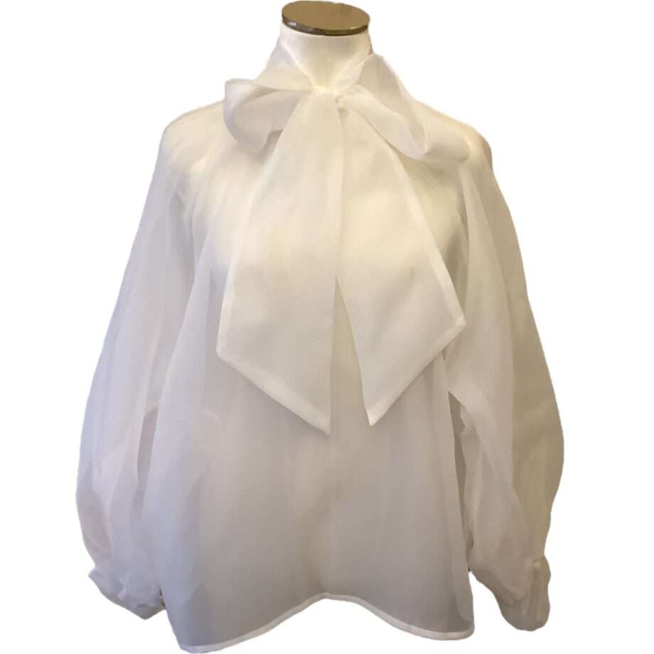 Flowy organza blouse