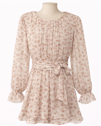 Dress Chiffon printed